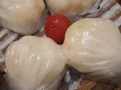 -潮江春(阳光店)