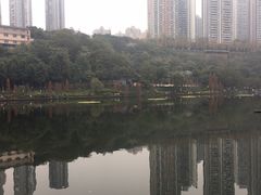 -重庆彩云湖湿地公园