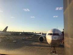 -纽瓦克自由国际机场