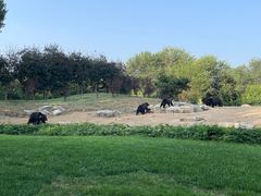 -北京野生动物园