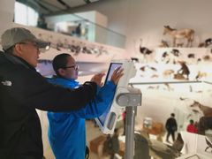 -墨尔本博物馆(Melbourne Museum)