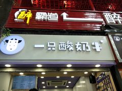门面-一只酸奶牛(八一路店)