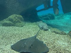 -福州罗源湾海洋世界旅游区