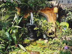 -园林美食城·本土农家菜(杨和镇店)