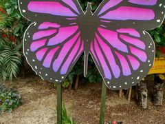 -红栌温泉山庄生态美食餐厅