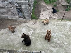 -哈尔滨北方森林动物园