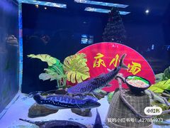 -重庆欢乐海底世界