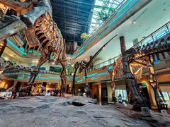 -安徽省地质博物馆