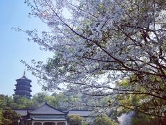 -浙江西子宾馆·瑶园咖啡厅