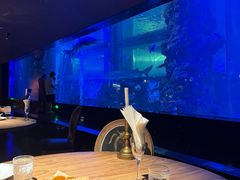 -鲨鱼餐厅.海景川粤餐厅(重庆天地店)