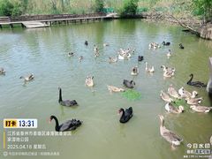 -溱湖国家湿地公园