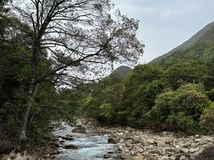 -姑婆山旅游区