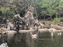 -合肥野生动物园