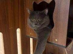 -扬州东关街文昌阁桔子水晶酒店