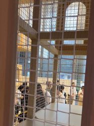 -超级奈尔宝SUPER NEOBIO(杭州星光店)