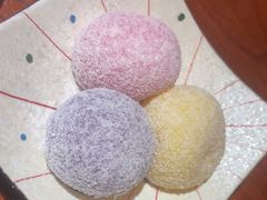 -松羽料理(国大店)
