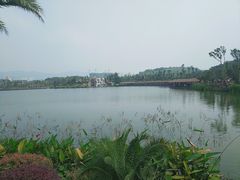 -枫香湖儿童公园