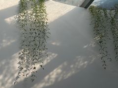-金陵图书馆