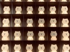 -line friends(明洞旗舰店)