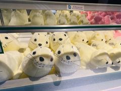 -秦皇岛新澳海底世界
