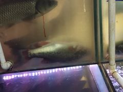 -爱妻鱼•老体北重庆水煮鱼•川菜(白云路店)