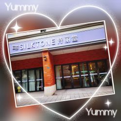 -SILKTONE诗丽堂美容