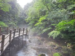-本溪汤沟绿石谷森林公园