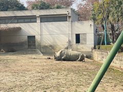 -成都动物园