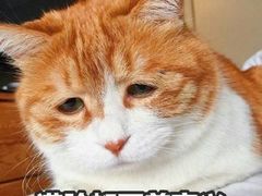 -老三院粉店(三医院店)