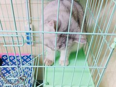 -慕禧法式甜品(如意商务大厦店)