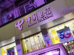 -中国电信(光谷创业街营业厅)