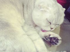 -MIKAKU(万达广场上海宝山店)