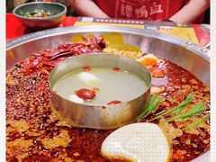 -谭鸭血老火锅(七宝万科广场店)