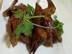 -口衣记鸡饭店