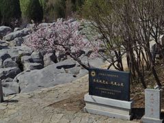 -原山国家森林公园