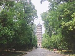 -灵谷景区