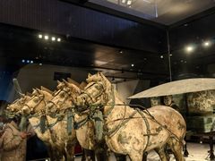 -秦始皇帝陵博物院-丽山园