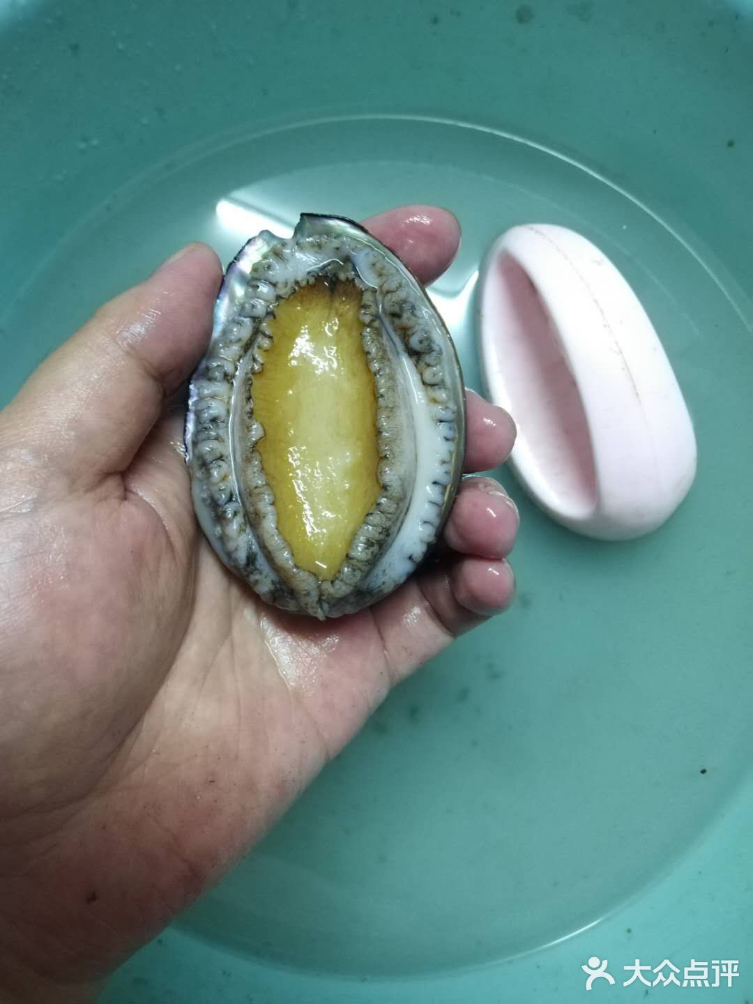 来一碗33元的鲍鱼捞饭吧[亲亲]