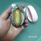 来一碗33元的鲍鱼捞饭吧[亲亲]