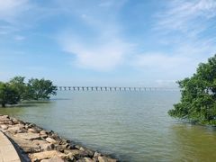 -宝安西湾红树林湿地公园