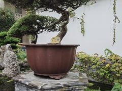 -水绘园