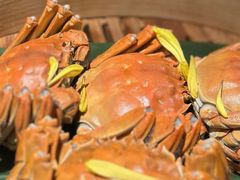 -成隆行·蟹王府(九江路店)
