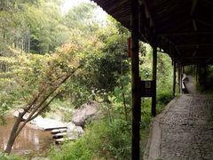 -山沟沟景区