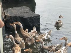 -上海怡沁园度假酒店