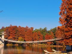 -东湖落雁景区