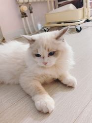 -Beauty Nails 美甲美睫皮肤管理