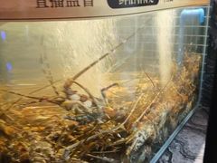-成都银泰中心in99