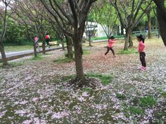 -苏州河梦清园环保主题公园