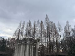 -音乐台