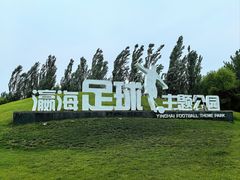 -瀛海足球主题公园